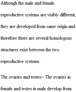 The Reproductive System Assignment